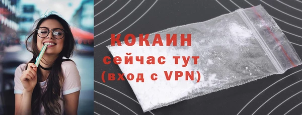 тгк Алексин