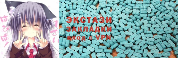 индика Осинники