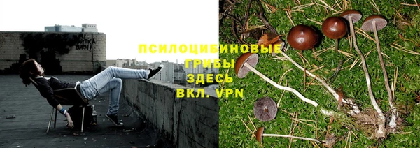 марки lsd Алзамай
