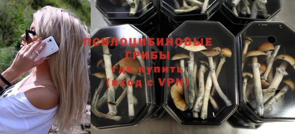 бошки Пестово