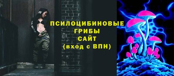 тгк Алексин